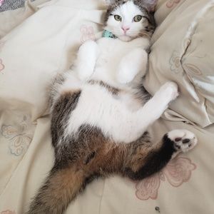 Meet your Posher, Annie